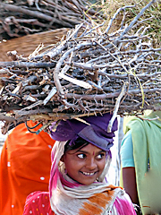 Smiling Rajasthani girl with twigs head load