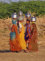 Four Rajasthani woman going for water with pitchers