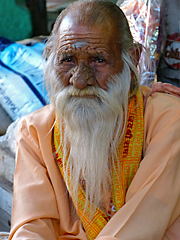 Rajasthani sandhu with flowing beard