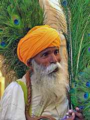Rajasthani man selling peacock feathers