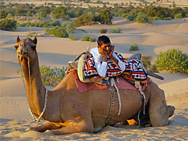 Rajasthani boy relaxing on back of camel